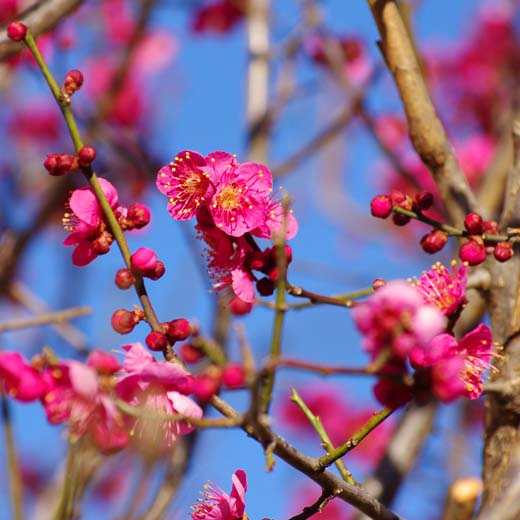 �҂��������t