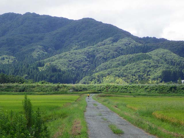 X 䂭