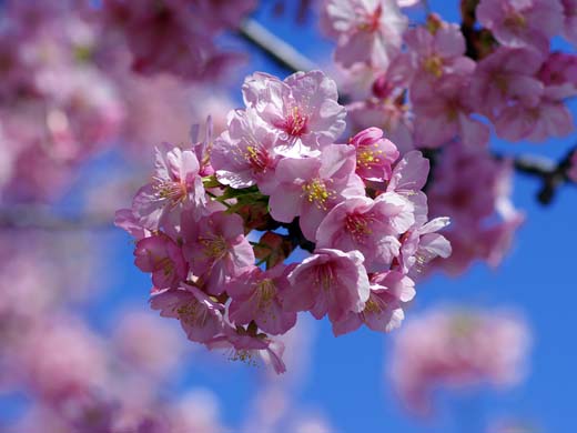 �ᑐ�����A�t